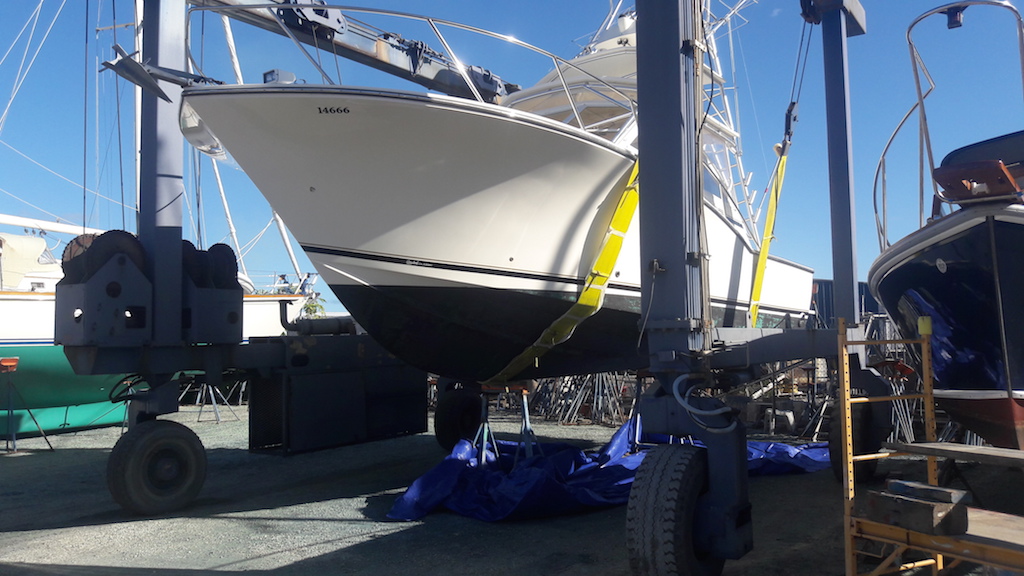 https://www.renew.bm/wp-content/uploads/2018/12/BOAT-2-2.jpg